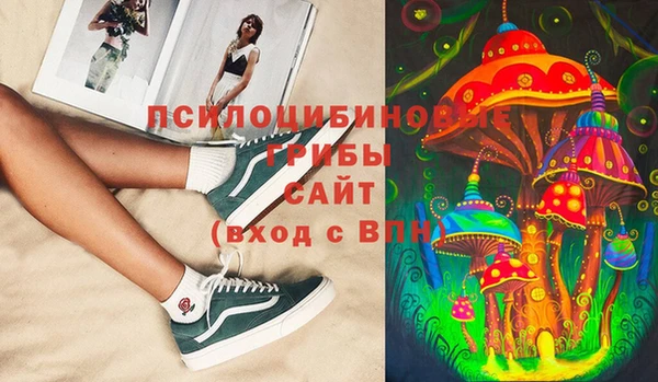 сатива Белоозёрский