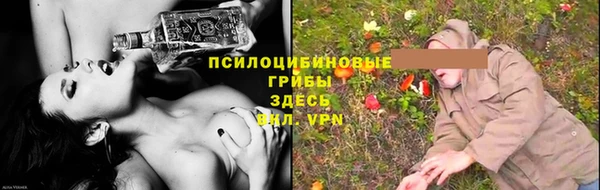 спиды Белокуриха