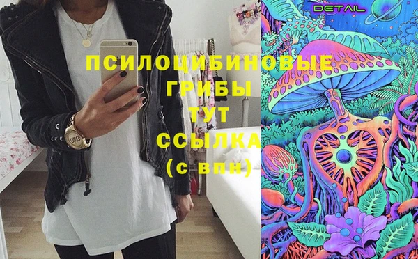 сатива Белоозёрский