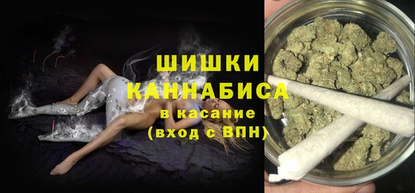 сатива Белоозёрский