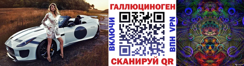 Галлюциногенные грибы Psilocybine cubensis Котельнич