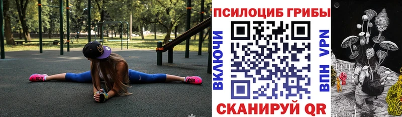 Галлюциногенные грибы GOLDEN TEACHER  Котельнич 